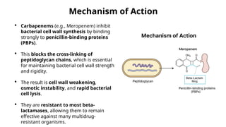 Beta Lactum Antibiotics presentation.pptx