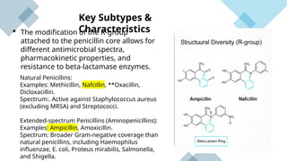 Beta Lactum Antibiotics presentation.pptx