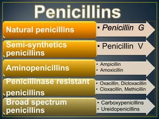 beta lactum by manjunath presentation antibiotis | PPT
