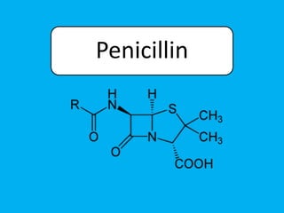 Penicillin
 