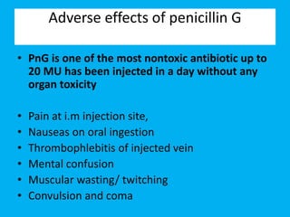 Adverse effects of penicillin G
• PnG is one of the most nontoxic antibiotic up to
20 MU has been injected in a day without any
organ toxicity
• Pain at i.m injection site,
• Nauseas on oral ingestion
• Thrombophlebitis of injected vein
• Mental confusion
• Muscular wasting/ twitching
• Convulsion and coma
 