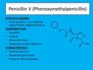 Penicillin V (Phenoxymethylpenicillin)
EFFECTIVE AGAINST:
• Gram positive + Less effective
against Gram negative bacteria
TREATMENT FOR:
• Tonsillitis
• Anthrax
• Rheumatic fever
• Streptococcal skin infections
CHARACTERISTICS:
• Narrow spectrum
• Should be given orally
• Prone to beta-lactamase
 