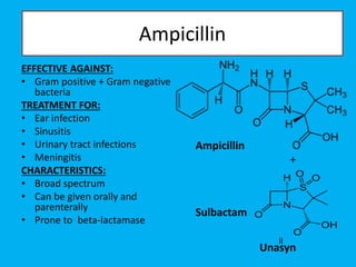 Ampicillin
EFFECTIVE AGAINST:
• Gram positive + Gram negative
bacteria
TREATMENT FOR:
• Ear infection
• Sinusitis
• Urinary tract infections
• Meningitis
CHARACTERISTICS:
• Broad spectrum
• Can be given orally and
parenterally
• Prone to beta-lactamase
Ampicillin
Sulbactam
+
ll
Unasyn
 