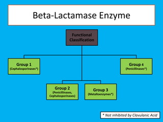 Beta-Lactamase Enzyme
Functional
Classification
Group 1
(Cephalosporinases*)
Group 2
(Penicillinases,
Cephalosporinases)
Group 3
(Metalloenzymes*)
Group 4
(Penicillinases*)
* Not inhibited by Clavulanic Acid
 