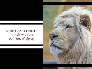 https://www.ﬂickr.com/photos/8070463
A lion doesn’t concern 	

himself with the 	

opinions of sheep
 