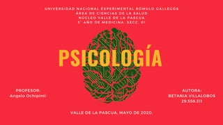 PSICOLOGÍA 
U N I V E R S I D A D N A C I O N A L E X P E R I M E N T A L R Ó M U L O G A L L E G O S
Á R E A D E C I E N C I A S D E L A S A L U D
N Ú C L E O V A L L E D E L A P A S C U A
3 ° A Ñ O D E M E D I C I N A . S E C C . 0 1
VALLE DE LA PASCUA, MAYO DE 2020.
PROFESOR:
Angelo Ochipinti
AUTORA:
BETANIA VILLALOBOS
29.558.311
 