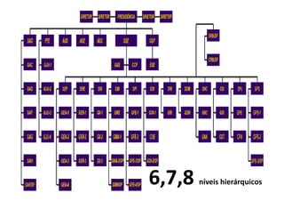 6,7,8   níveis hierárquicos
 