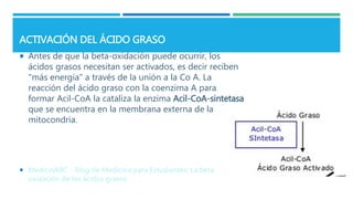 ACTIVACIÓN DEL ÁCIDO GRASO
 Antes de que la beta-oxidación puede ocurrir, los
ácidos grasos necesitan ser activados, es decir reciben
"más energía" a través de la unión a la Co A. La
reacción del ácido graso con la coenzima A para
formar Acil-CoA la cataliza la enzima Acil-CoA-sintetasa
que se encuentra en la membrana externa de la
mitocondria.
 MedicinABC - Blog de Medicina para Estudiantes: La beta
oxidación de los ácidos grasos
 