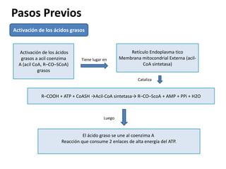Pasos Previos
Activación de los ácidos grasos


  Activación de los ácidos                             Retículo Endoplasma tico
   grasos a acil coenzima      Tiene lugar en      Membrana mitocondrial Externa (acil-
  A (acil CoA, R–CO–SCoA)                                   CoA sintetasa)
            grasos
                                                           Cataliza


            R–COOH + ATP + CoASH →Acil-CoA sintetasa→ R–CO–ScoA + AMP + PPi + H2O



                                           Luego


                                El ácido graso se une al coenzima A
                      Reacción que consume 2 enlaces de alta energía del ATP.
 