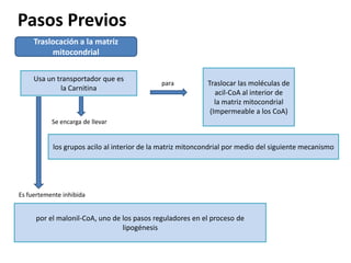 Pasos Previos
     Traslocación a la matriz
          mitocondrial


     Usa un transportador que es
                                             para           Traslocar las moléculas de
             la Carnitina
                                                               acil-CoA al interior de
                                                               la matriz mitocondrial
                                                             (Impermeable a los CoA)
           Se encarga de llevar


           los grupos acilo al interior de la matriz mitoncondrial por medio del siguiente mecanismo




Es fuertemente inhibida


     por el malonil-CoA, uno de los pasos reguladores en el proceso de
                                lipogénesis
 