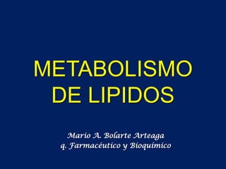METABOLISMO
 DE LIPIDOS
   Mario A. Bolarte Arteaga
 q. Farmacéutico y Bioquímico
 