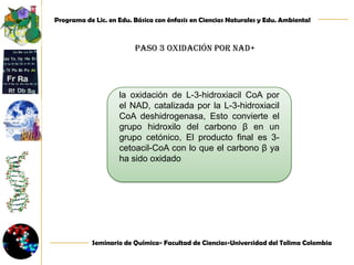 Paso 2 hidratación (adición de una molécula de agua)