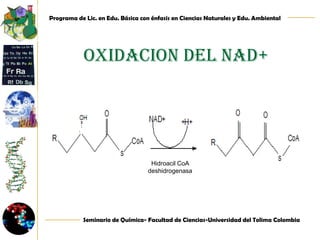 HIDRATACIONEnoilCoA hidratasa