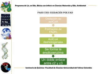 R–COOH + ATP + CoASH ->Acil-CoA sintetasa-> R-COSCoA + H2O.