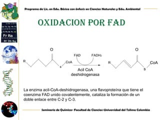 Al terminar esta reacción es necesaria la intervención de un transportador (carnitina).Activación de un acido grasoA: membrana mitocondrial externa, B: espacio intermembranal, C: membrana mitocondrial interna, D: matriz mitocondrialRojo: acil-CoA, verde:carnitina, Rojo+verde: acilcarnitina,CoAH: coenzima A, CPTI: carnitina palmitoiltransferasa I, CPTII: carnitina palmitoiltransferasa II, 1: acil-CoAsintetasa, 2:translocasa, Javier Angulo Fernández.(2003).entrenamiento abdominal.Editorialpaidotribo.