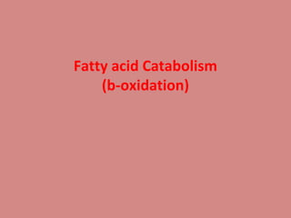 Fatty acid Catabolism
(b-oxidation)