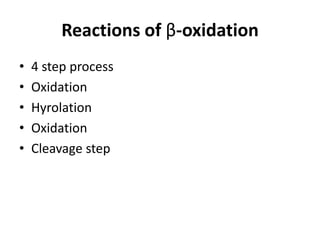Reactions of β-oxidation
• 4 step process
• Oxidation
• Hyrolation
• Oxidation
• Cleavage step
 