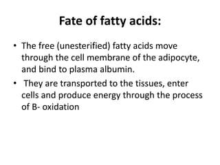 Fate of fatty acids:
• The free (unesterified) fatty acids move
through the cell membrane of the adipocyte,
and bind to plasma albumin.
• They are transported to the tissues, enter
cells and produce energy through the process
of B- oxidation
 