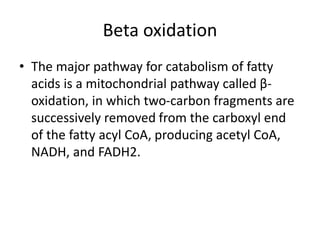 Beta oxidation
• The major pathway for catabolism of fatty
acids is a mitochondrial pathway called β-
oxidation, in which two-carbon fragments are
successively removed from the carboxyl end
of the fatty acyl CoA, producing acetyl CoA,
NADH, and FADH2.
 