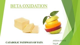 BETA OXIDATION
CATABOLIC PATHWAYS OF FATS
AYESHA SAFDAR
Uog.pk
 