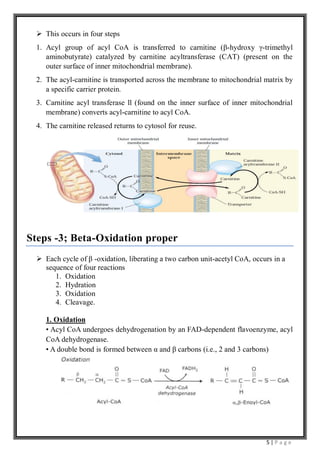 Beta oxidation of saturated fatty acid | PDF