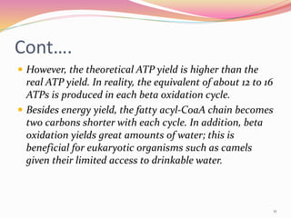 Cont….
 However, the theoretical ATP yield is higher than the
real ATP yield. In reality, the equivalent of about 12 to 16
ATPs is produced in each beta oxidation cycle.
 Besides energy yield, the fatty acyl-CoaA chain becomes
two carbons shorter with each cycle. In addition, beta
oxidation yields great amounts of water; this is
beneficial for eukaryotic organisms such as camels
given their limited access to drinkable water.
11
 