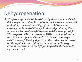Dehydrogenation
In the first step, acyl-CoA is oxidized by the enzyme acyl CoA
dehydrogenase. A double bond is formed between the second
and third carbons (C2 and C3) of the acyl-CoA chain
entering the beta oxidation cycle; the end product of this
reaction is trans-Δ2-enoyl-CoA (trans-delta 2-enoyl CoA).
This step uses FAD and produces FADH2, which will enter
the citric acid cycle and form ATP to be used as energy.
(Notice in the following figure that the carbon count starts
on the right side: the rightmost carbon below the oxygen
atom is C1, then C2 on the left forming a double bond with
C3, and so on.)
6
 