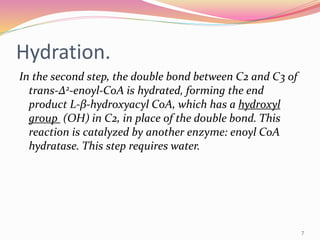 Hydration.
In the second step, the double bond between C2 and C3 of
trans-Δ2-enoyl-CoA is hydrated, forming the end
product L-β-hydroxyacyl CoA, which has a hydroxyl
group (OH) in C2, in place of the double bond. This
reaction is catalyzed by another enzyme: enoyl CoA
hydratase. This step requires water.
7
 