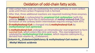 21
Oxidation of odd-chain fatty acids.
• Odd-carbon fatty acids are oxidized by the same pathway as even-carbon
acids until three-carbon Propionyl-CoA is formed.
• After that, three additional reactions are required involving three enzymes.
• Propionyl-CoA is carboxylated by propionyl-CoA carboxylase (with the
cofactor biotin) to form the D stereoisomer of methyl malonyl-CoA (The
formation of the carboxy biotin intermediate requires energy from ATP).
• D-methylmalonyl-CoA is changed into L-methylmalonyl-CoA by
methylmalonyl-CoA epimerase.
• L-methylmalonyl-CoA undergoes an intramolecular rearrangement to form
succinyl-CoA, which enters the citric acid cycle. This rearrangement is
catalyzed by methylmalonyl-CoA mutase, which requires coenzyme B12,
derived from vitamin B12 (Cobalamin).
vitamin B12 (Cobalamin)deficiency & methylmalonyl-CoA mutase -
Methyl Malonic acidemia
 