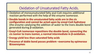 22
Oxidation of Unsaturated Fatty Acids.
• Oxidation of monounsaturated fatty acyl-CoA requires additional
reaction performed with the help of the enzyme isomerase.
• Double bonds in the unsaturated fatty acids are in the cis
configuration and cannot be acted upon by enoyl-CoA hydratase
(the enzyme catalyzing the addition of water to the trans double bond
generated during β-oxidation.
• Enoyl-CoA isomerase repositions the double bond, converting the
cis isomer to trans isomer, a normal intermediate in β-oxidation.
• Energy yield less than saturated fatty acids
• Presence of doble bond posses problem –overcome by epimerase
&isoenzymes
 
