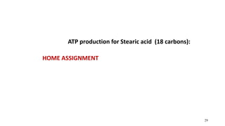 29
ATP production for Stearic acid (18 carbons):
HOME ASSIGNMENT
 