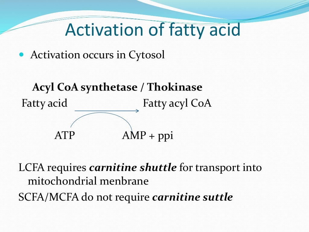 Fatty acid oxidation ( Beta , Alpha omega and peroxisomal)