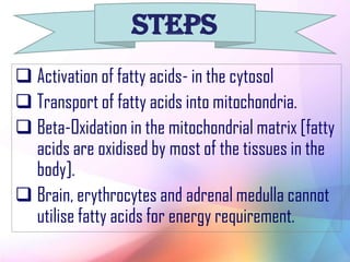 Beta oxidation of fatty acids | PDF