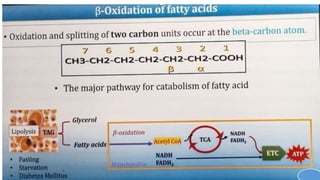 Beta oxidation of fatty acids the slice is from U. Satyanarayan | PDF