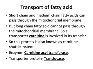 Beta oxidation of fatty acids | PPTX
