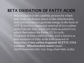 BETA OXIDATION OF FATTY ACIDS .pptx..... | PPTX