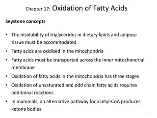 1
Chapter 17: Oxidation of Fatty Acids
keystone concepts
• The insolubility of triglycerides in dietary lipids and adipose
tissue must be accommodated
• Fatty acids are oxidized in the mitochondria
• Fatty acids must be transported across the inner mitochondrial
membrane
• Oxidation of fatty acids in the mitochondria has three stages
• Oxidation of unsaturated and odd chain fatty acids requires
additional reactions
• In mammals, an alternative pathway for acetyl-CoA produces
ketone bodies
 