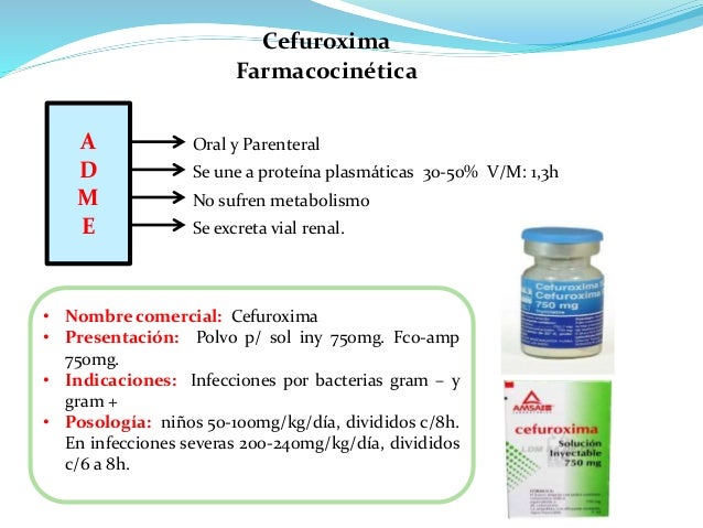 Antibioticos Betalactamicos Antibioticos Betalactamicos