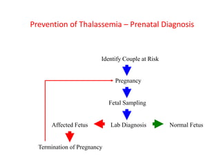 Beta thalassemia and thalassemia prevention 2021 | PDF