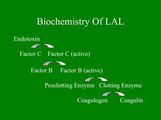 Biochemistry Of LAL
Endotoxin
Factor C Factor C (active)
Factor B Factor B (active)
Proclotting Enzyme Clotting Enzyme
Coagulogen Coagulin
 