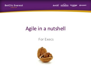 Agile in a nutshell
For Execs
 