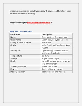 Important information about types, growth advice, and betel nut trees
has been covered in this blog.
Are you looking for new projects in Dombivali ?
Betel Nut Tree : Key Facts
Particulars Description
Name Betel nut tree, Areca nut palm
Other name Supari tree, or Dypsis Lutescens
Family of betel nut tree Arecaceae
Origin India, South and Southeast Asian
regions
Soil require Light (sandy), medium (loamy)
and heavy (clay) soils
Temperature 18-26 °C
Sunlight Bright, indirect light
Height Up to 20 meters, leaves grow up
to 3 mtr in length
Time of plantation June to December
Flowers Small, yellow or orange
Indoor/ outdoor Both outdoors and indoors
 