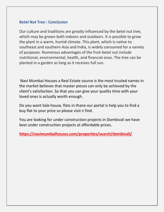 Betel Nut Tree : Conclusion
Our culture and traditions are greatly influenced by the betel nut tree,
which may be grown both indoors and outdoors. It is possible to grow
the plant in a warm, humid climate. This plant, which is native to
southeast and southern Asia and India, is widely consumed for a variety
of purposes. Numerous advantages of the fruit-betel nut include
nutritional, environmental, health, and financial ones. The tree can be
planted in a garden as long as it receives full sun.
Navi Mumbai Houses a Real Estate source is the most trusted names in
the market believes that master pieces can only be achieved by the
client’s satisfaction. So that you can give your quality time with your
loved ones is actually worth enough.
Do you want Sale house, flats in thane our portal is help you to find a
buy flat to your price so please visit n find.
You are looking for under construction projects in Dombivali we have
best under construction projects at affordable prices.
https://navimumbaihouses.com/properties/search/dombivali/
 