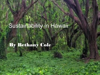 Sustainability in Hawaii
By Bethany Cole
 