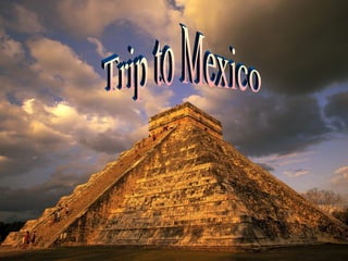 Trip to Mexico 