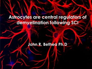 Astrocytes are central regulators of demyelination following SCIJohn R. BetheaPh.D 