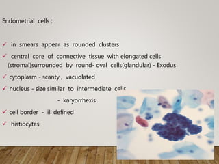 Endometrial cells :
 in smears appear as rounded clusters
 central core of connective tissue with elongated cells
(stromal)surrounded by round- oval cells(glandular) - Exodus
 cytoplasm - scanty , vacuolated
 nucleus - size similar to intermediate cells
- karyorrhexis
 cell border - ill defined
 histiocytes
 