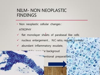 NILM- NON NEOPLASTIC
FINDINGS
• Non neoplastic cellular changes :
ATROPHY
 flat monolayer sheets of parabasal like cells
 nucleus enlargement , N:C ratio, regular contour
 abundant inflammatory exudate,
 basophilic granular backgroud
 blue blobs – conventional preparations
 
