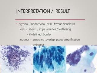 INTERPRETATION / RESULT
• Atypical Endocervical cells , favour Neoplastic
cells - sheets , strips ,rosettes / feathering
- ill-defined border
nucleus - crowding ,overlap, pseudostratification
- enlarged
- coarse chromatin , increased N:C ratio
 