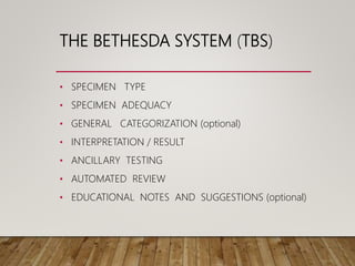 THE BETHESDA SYSTEM (TBS)
• SPECIMEN TYPE
• SPECIMEN ADEQUACY
• GENERAL CATEGORIZATION (optional)
• INTERPRETATION / RESULT
• ANCILLARY TESTING
• AUTOMATED REVIEW
• EDUCATIONAL NOTES AND SUGGESTIONS (optional)
 